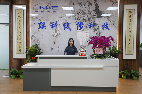 Linke Cable Technology (DongGuan) CO.,LTD