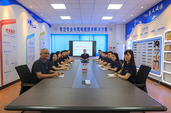 Linke Cable Technology (DongGuan) CO.,LTD